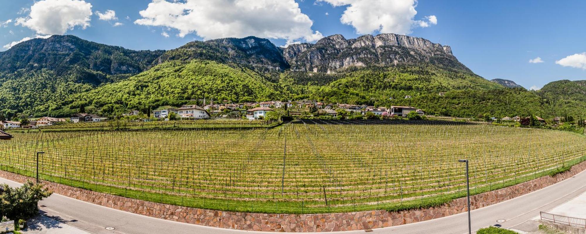 Das Panorama Dependance Caldaro Bagian luar foto